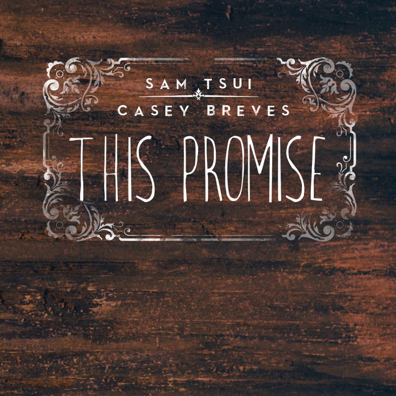 Sam Tsui Casey Breves This Promise Lyrics Musixmatch This i swear is true. sam tsui casey breves this promise