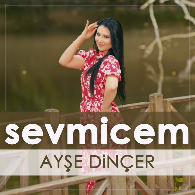 Ayse Dincer Sevmicem Lyrics Musixmatch