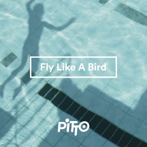 Fly Like a Bird
