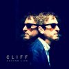Second Life Cliff - cover art