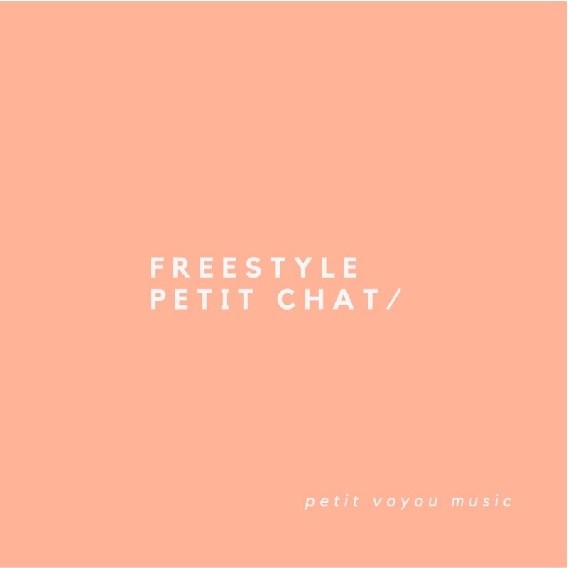Petit Voyou Freestyle Petit Chat Lyrics Musixmatch