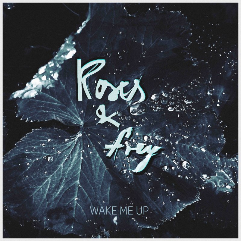 Roses Frey Wake Me Up Lyrics Musixmatch