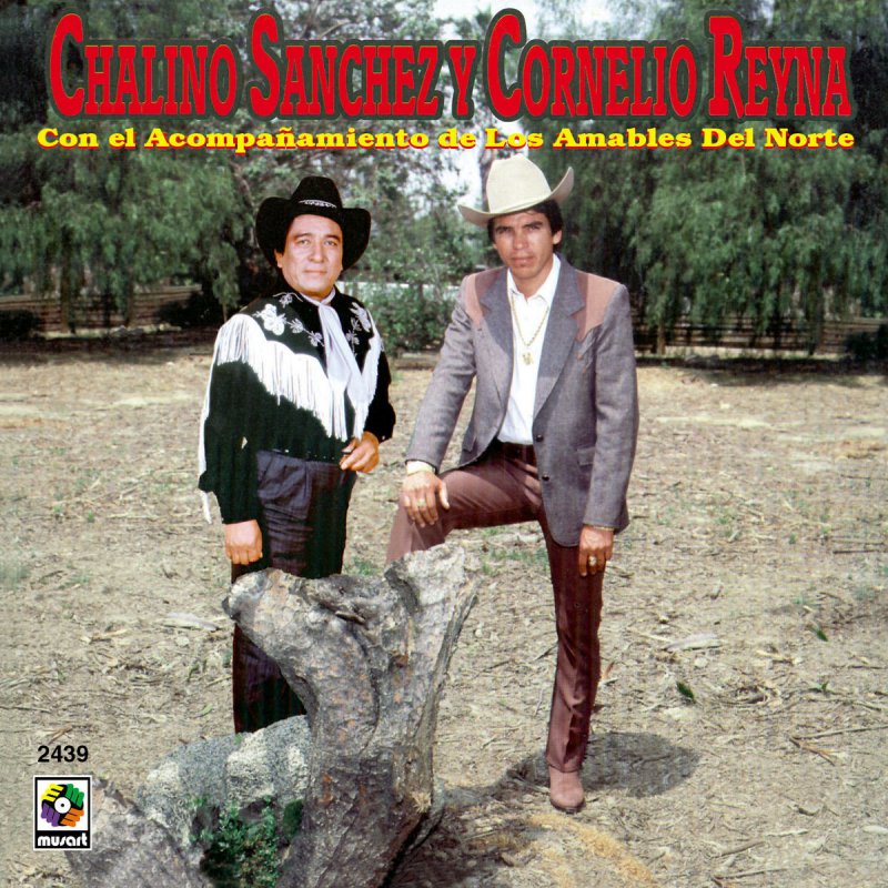 Chalino Sanchez Tengo El Alma Enamorada Letra Letra de Alma Enamorada de Chalino Sanchez Y Cornelio Reyna | Musixmatch