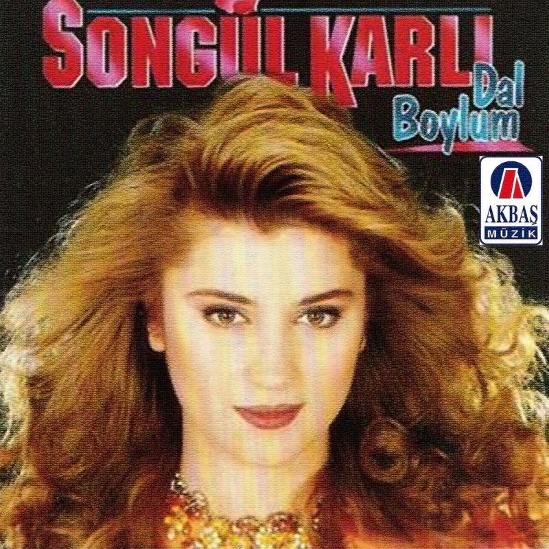 Songul Karli Yandirdin Kalbimi Paroles Musixmatch