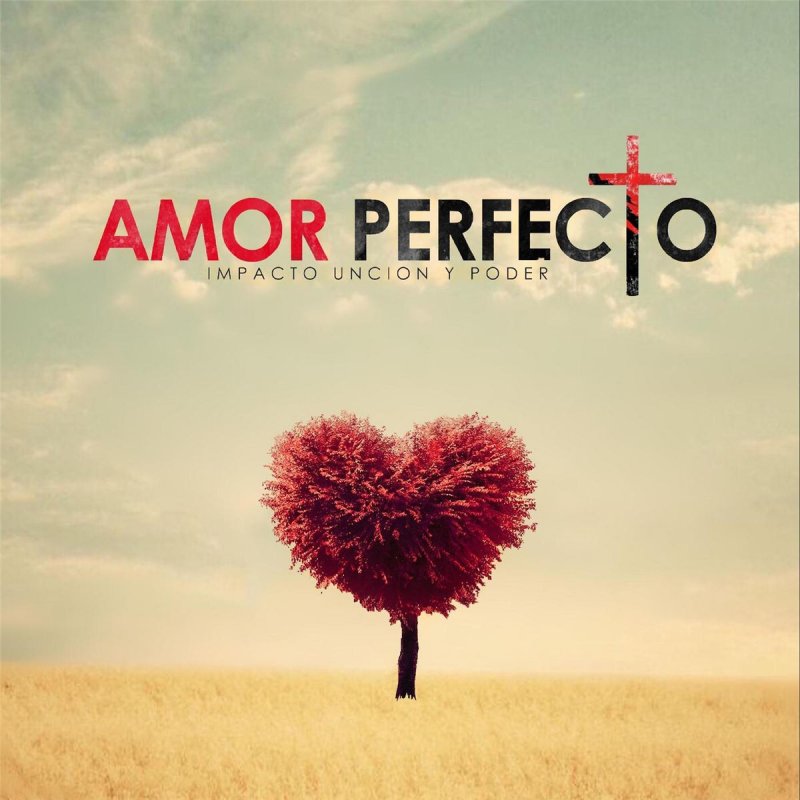 el perdedor lyrics with translation el perdedor lyrics with translation