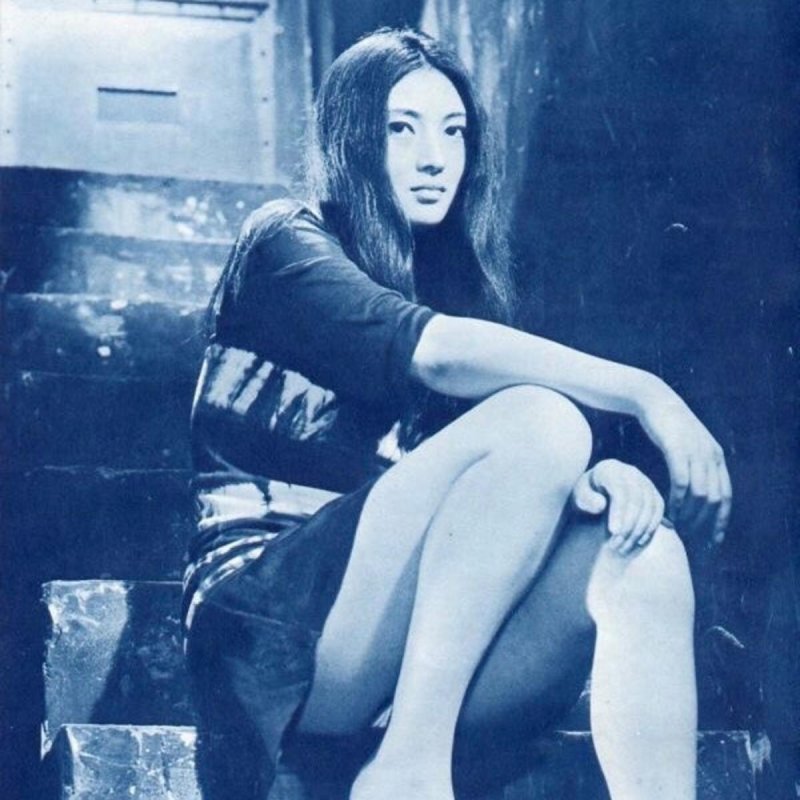 Letra de Cha Cha de Freddie Dredd Musixmatch