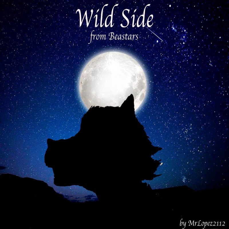 MrLopez2112 Wild Side (From "Beastars") Lyrics Musixmatch