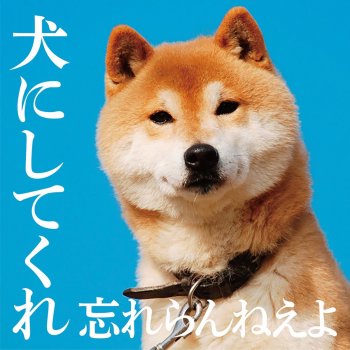 犬にしてくれ Testo Wasureranneyo Mtv Testi E Canzoni 犬にしてくれ Testo Wasureranneyo Mtv Testi E Canzoni