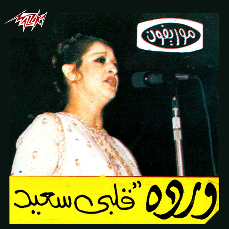 قلبى سعيد وياك ياحياتي mp3