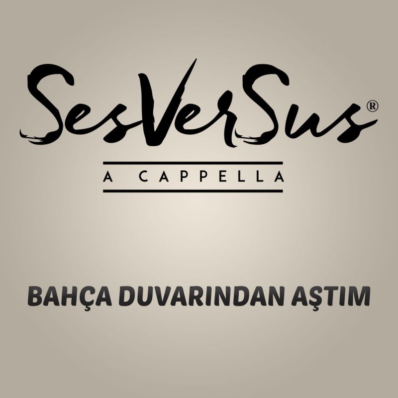 Sesversus Bahca Duvarindan Astim Lyrics Musixmatch