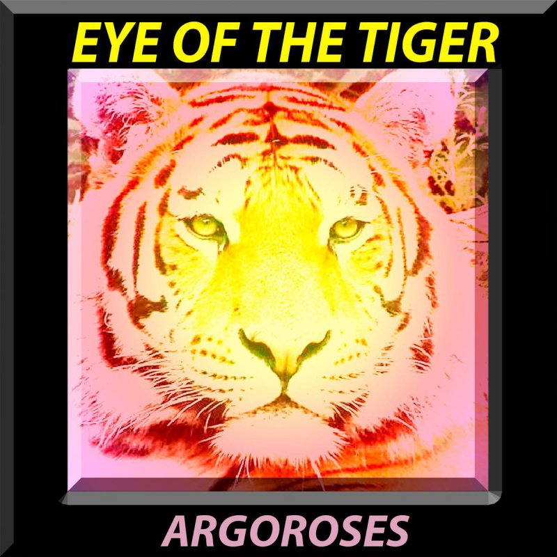 Eye Of The Tiger Eye Of The Tiger Lyrics Musixmatch