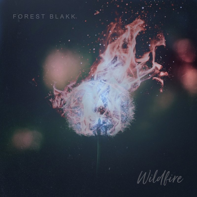 Letra De I Wish I Knew De Forest Blakk | Musixmatch