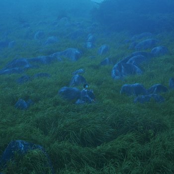 She Her Her Hers - Chelsea lyrics translation in English | Musixmatch