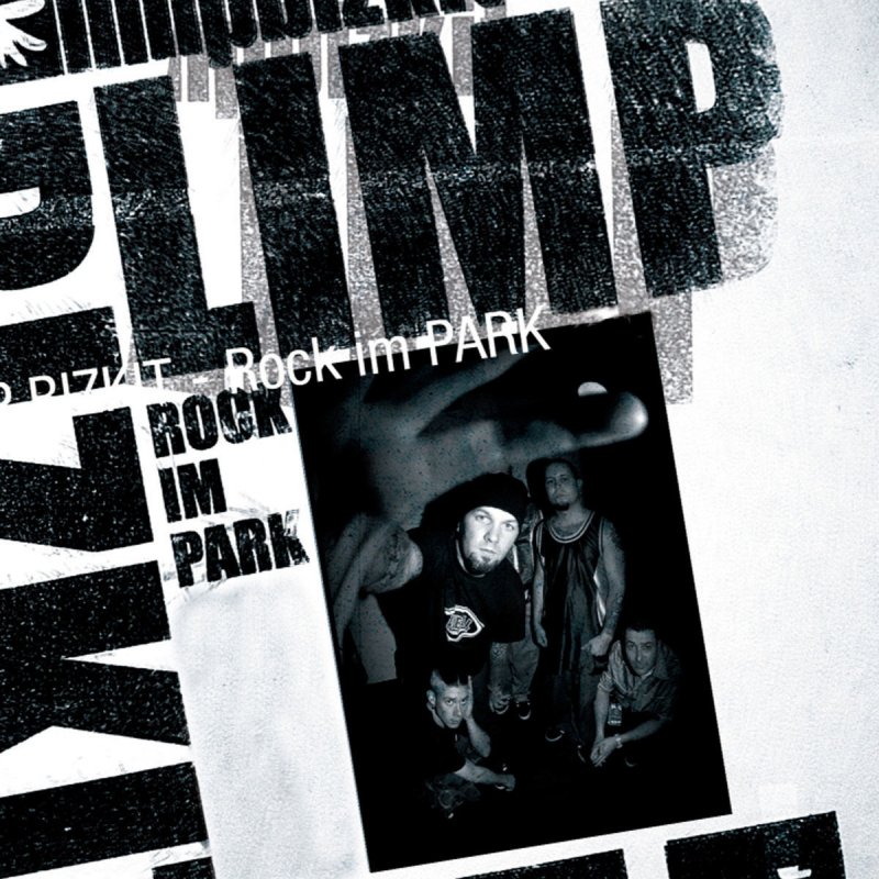 The best limp bizkit album rar senturinjump
