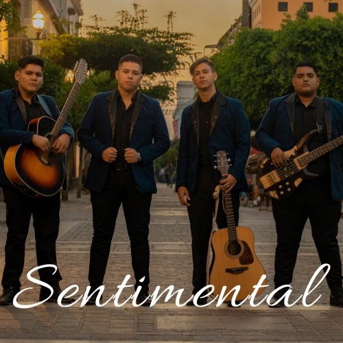 Secuencia Privada - Letras de Sentimental | Musixmatch