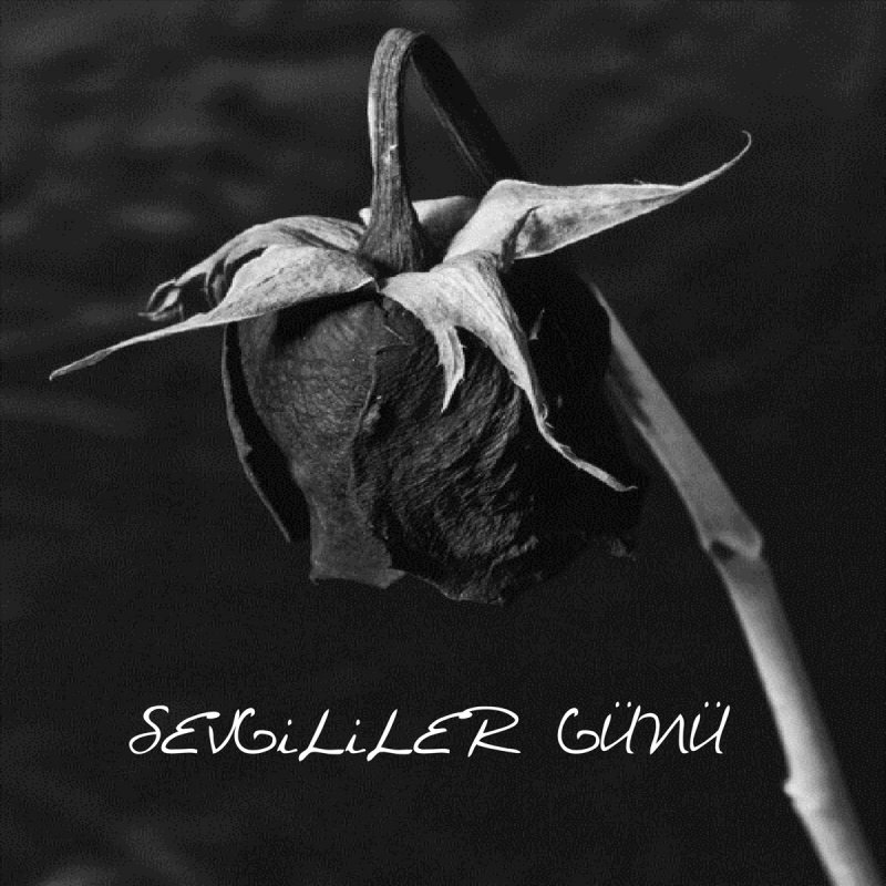 Jagged Sevgililer Gunu Lyrics Musixmatch