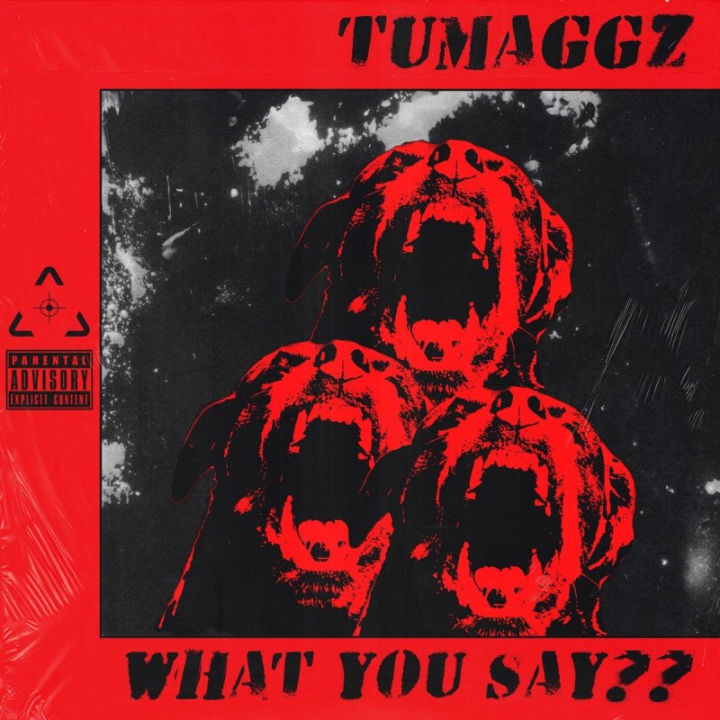 Tumaggz What You Say Lyrics Musixmatch