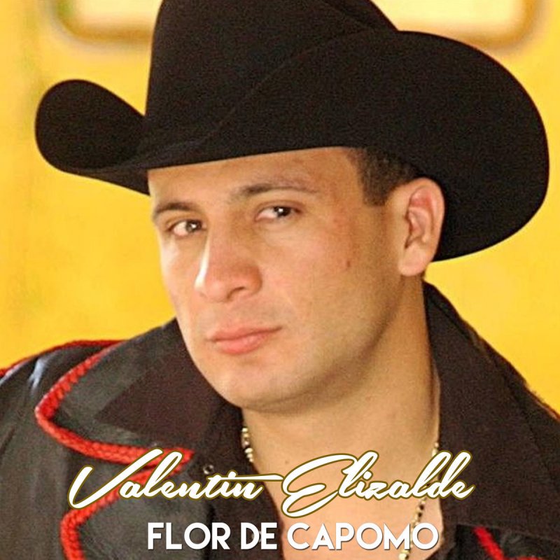 Valentin Elizalde Flor De Capomo Lyrics Musixmatch