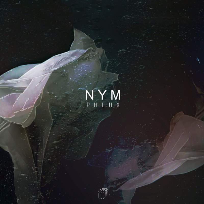 Phlux Nym Lyrics Musixmatch I'll keep you in my mind. phlux nym lyrics musixmatch