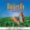 Ein Hit des Jahrhunderts: Butterfly Danyel Gerard - cover art