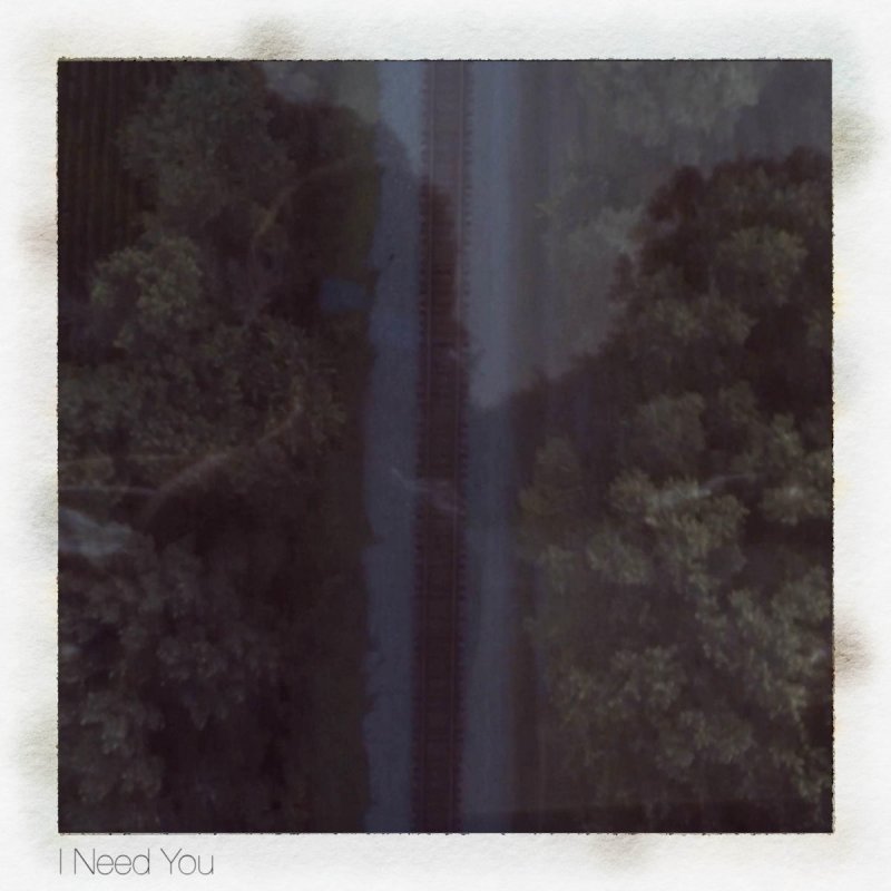Austin Sebek I Need You Lyrics Musixmatch