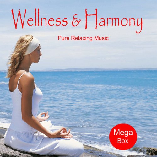 Wellness And Harmony