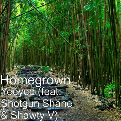 Yeeyee (feat. Shotgun Shane & Shawty V)