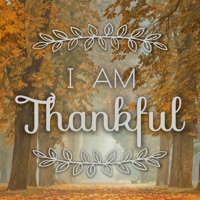 Angie Killian - I Am Thankful Lyrics | Musixmatch