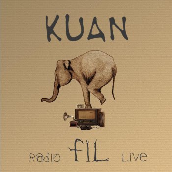 Gun Gelir Testo Kuan Mtv Testi E Canzoni