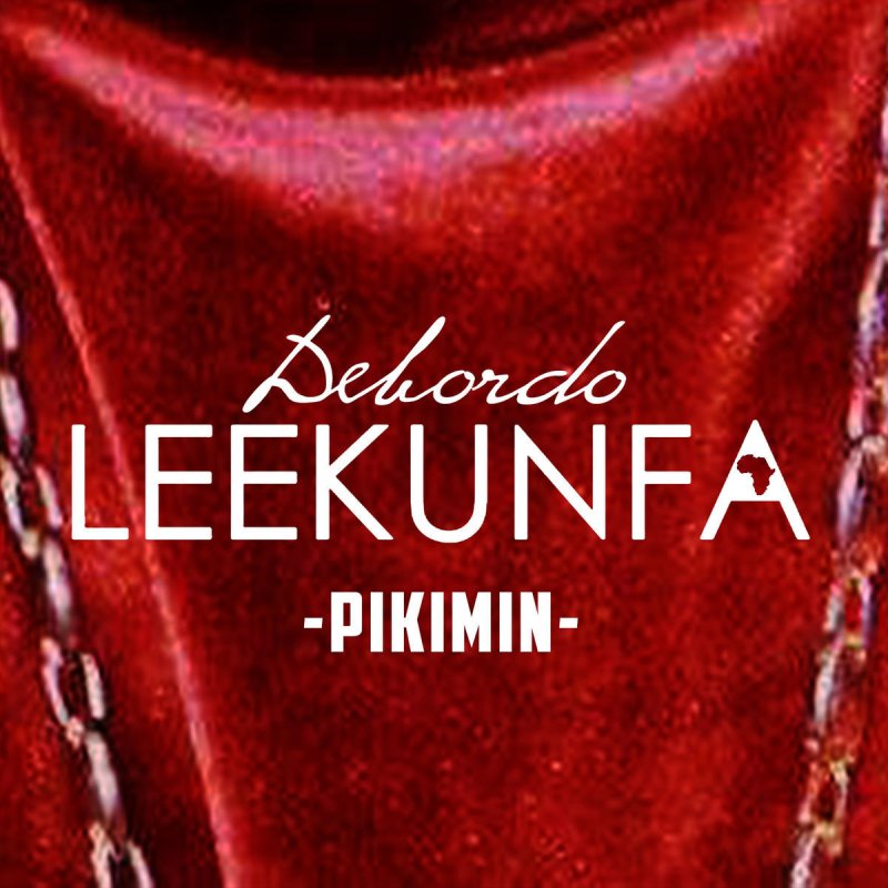 TÉLÉCHARGER DEBORDO LEEKUNFA PIKMIN GRATUITEMENT