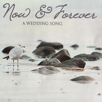 Now Forever A Wedding Song By David Goldstein Album Lyrics Musixmatch Now Forever A Wedding Song By David Goldstein Album Lyrics Musixmatch