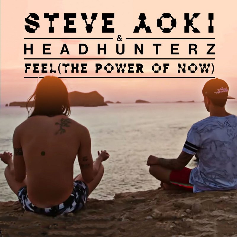 Letra De Feel The Power Of Now De Steve Aoki Headhunterz