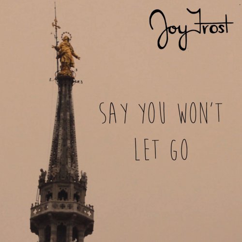 Say You Won't Let Go