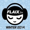 Flaix Winter 2014 Martin Garrix - cover art