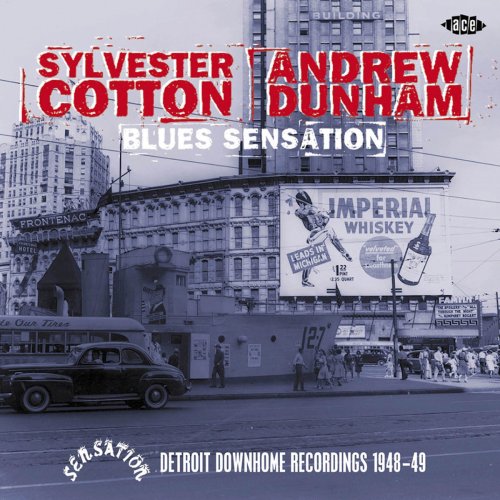 Blues Sensation: Detroit Down Home Recordings 1948-49