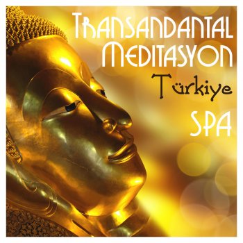 Transandantal Meditasyon Turkiye Spa Reiki Ve Yoga Muzikleri Ile Doganin Sesleri Uyku Muzikleri By Rahatlatici Muzik Akademisi Album Lyrics Musixmatch Song Lyrics And Translations