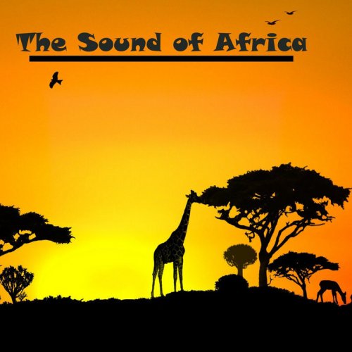 The Sound of Africa