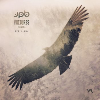 Vultures (feat. Anuka) [JPB Remix]