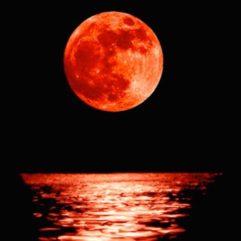 roberto benigni le canzoni gli album i testi e le traduzioni mtv