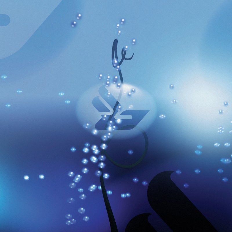 Bjork State Of Emergency Lyrics For Sale Bjork Vintage Tee Bandshirt Summer Festival Swag Electronica 90s Iceland Thesugarcubes Sigurros Vintage Tshirts Bjork Band Shirts