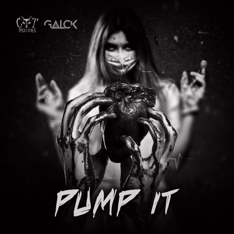 Cat Dealers feat. Galck - Pump It | Musixmatch
