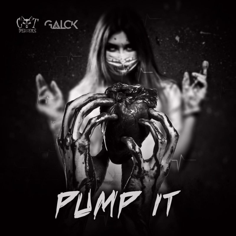 Cat Dealers Feat Galck Pump It Lyrics Musixmatch