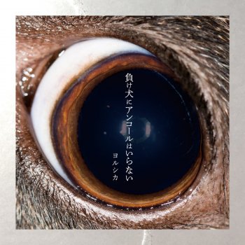 N Bunaの花と水飴 最終電車 アルバム歌詞 Musixmatch