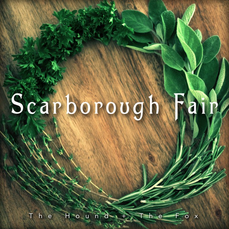 The Hound The Fox Scarborough Fair Lyrics Musixmatch