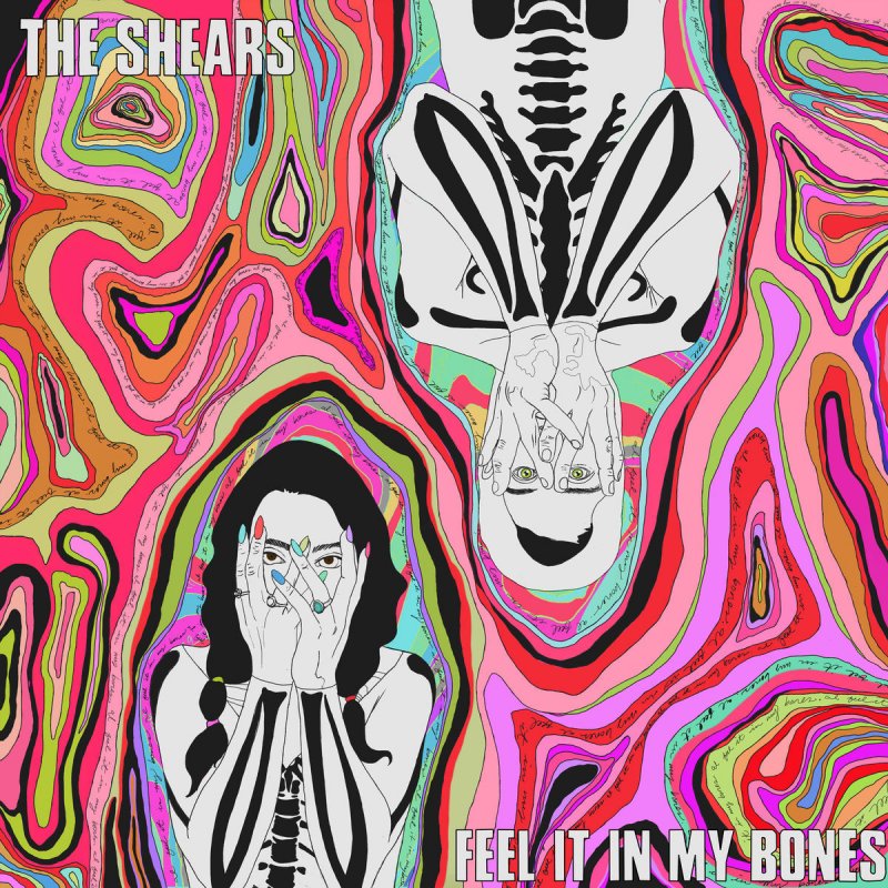 The Shears Letra De My Own Hero Musixmatch