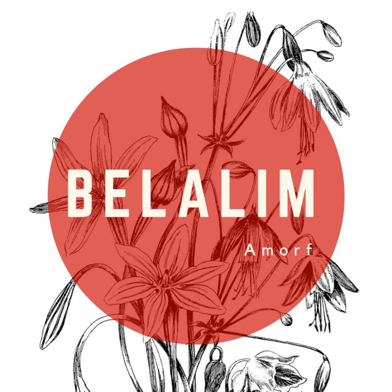 amorf belalim lyrics musixmatch