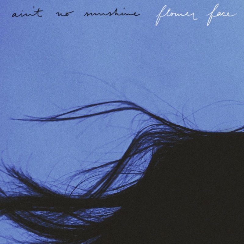 Flower Face Ain T No Sunshine Lyrics Musixmatch