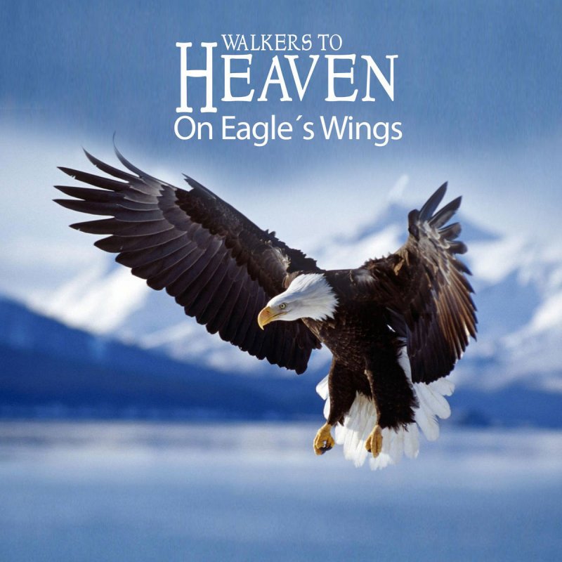 love is on the way on wings of angels lyrics love is on the way on wings of angels lyrics