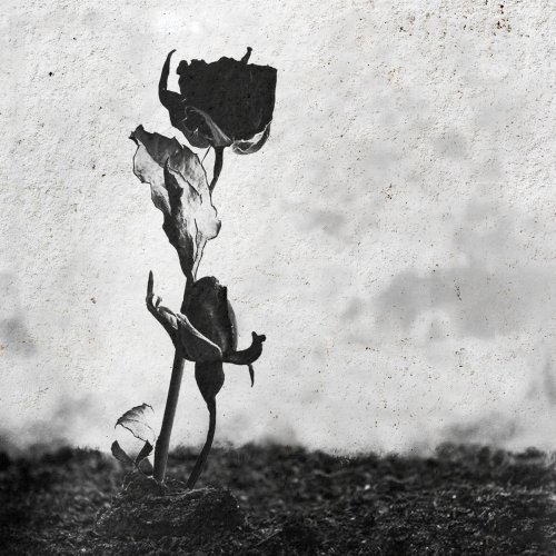 Үлкен әтештерден анальный ауырсыну порно