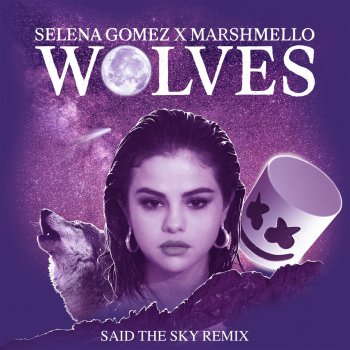 Testi Wolves (Said the Sky Remix)